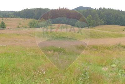 Teren 20000 mp, sat Dalghiu, com Vama Buzaului - 6