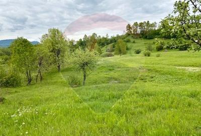 Teren agricol extravilan de 20876 mp, în Breb - 2