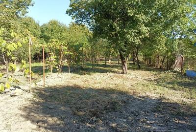 Casă cu 4 camere în Girocului - 4