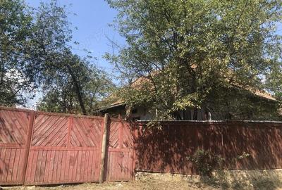 Casă cu 2 camere în Mărtănuș - 5