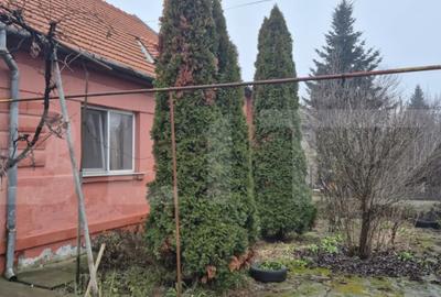 Casă cu 1 camere cu Teren 1306 Mp în Careiului - 16