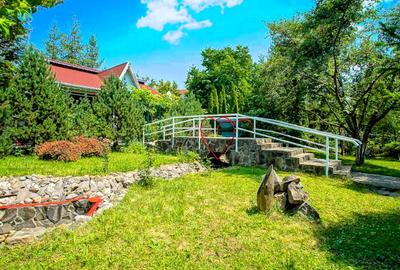 Proprietate unică pe malul lacului Moacșa – liniște, rafinament, eleganta - 47