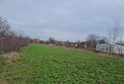 Casă cu 3 camere cu Teren 2185 Mp în Stoicănești - 5