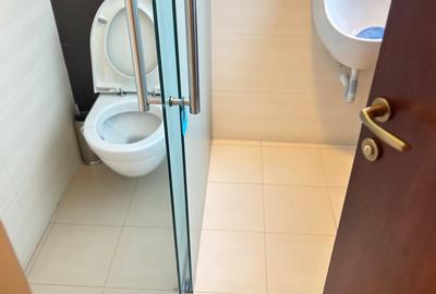 Vila ultracentral Constanța - 5
