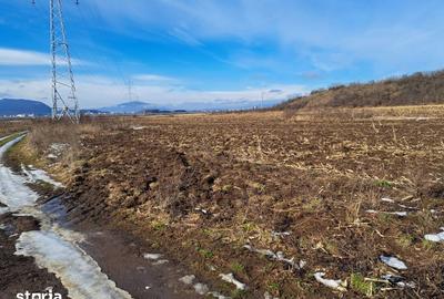 Teren de 3500 mp, în Movilei - 4