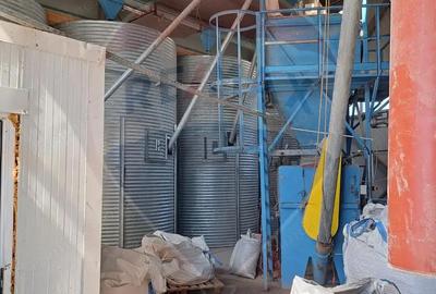 Spațiu comercial, de 2,500 mp, în Sângeorgiu de Pădure - 19