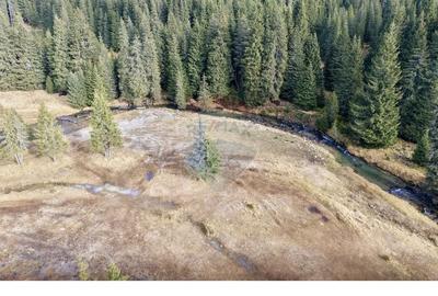 Teren intravilan de 5000 mp, în Moroeni - 7