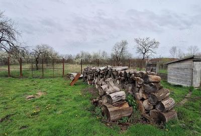 Casă cu Teren 4636 Mp în Central - 13