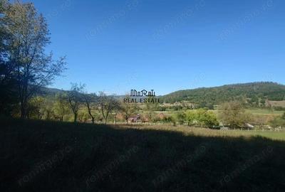 Teren de 56031 mp, în Criș - 2