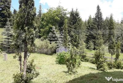 Casă cu 3 camere cu Teren 400 Mp în Central