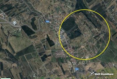 Teren Iris, Pomet, Extravilan cu vedere peste oras si expunere S-V - 2