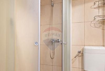 Apartament 1 camera de inchiriat zona Banul Maracine - 3