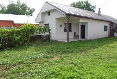 Case de vanzare in Ungureni, Cornesti, Dambovita - 3