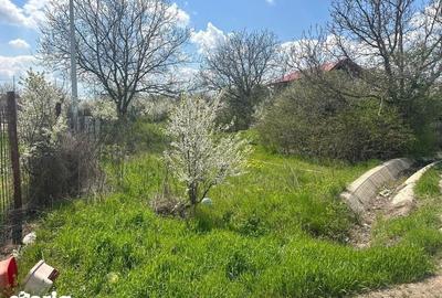 Teren de 1155 mp, în Giurgiului - 5