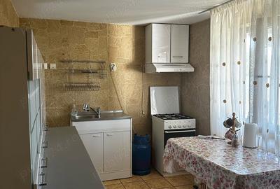 Casă cu 2 camere cu Teren 5000 Mp în Filipești - 4