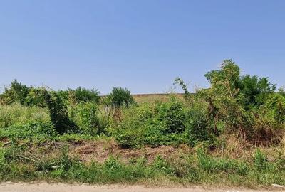 Teren de 924 mp, în Dridu - 4