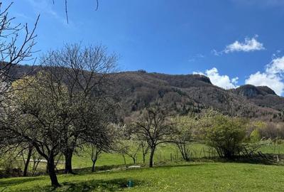 Teren de 3001 mp, în Bran - 4