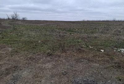 Teren de 2200 mp, în Gruiu - 4