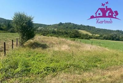 Teren de 1100 mp, în Hidiș - 5