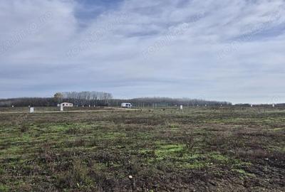 Teren de 638 mp, în Crevedia - 7