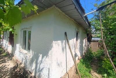 Casă cu 2 camere în Exterior Vest - 3