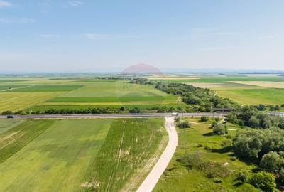 Teren agricol extravilan de 6193 mp, în Sud-Est - 29