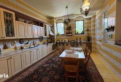 Casă cu 9 camere cu Teren 679 Mp în Cotroceni - 10