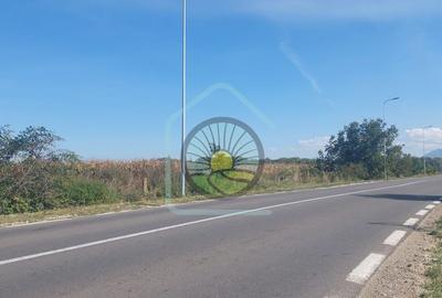 TEREN STUPINI BRASOV - 12