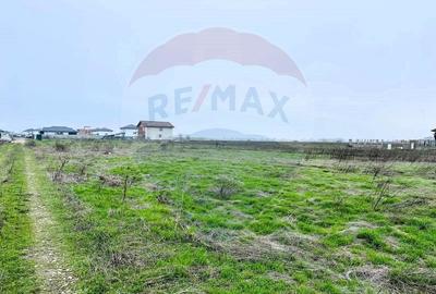Teren Construcții intravilan de 519 mp, în Vidra - 5