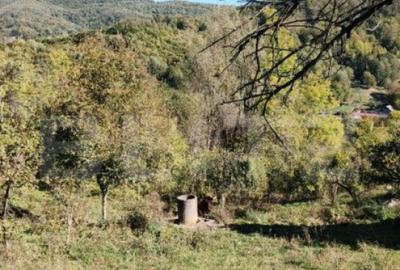 Teren cu priveli?te superba , livada ?i poten?ial casu? - 2