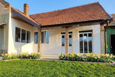 Casă cu Teren 2971 Mp în Santăul Mare - 3