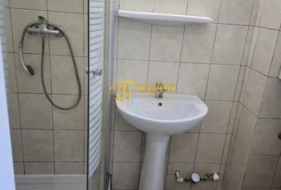PODU ROS, Garsoniera 30 mp, PET FRIENDLY - 3