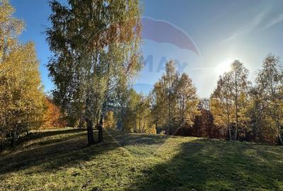 Oportunitate de investiție ! Teren de vis în Pestera - 125.370 mp - 26