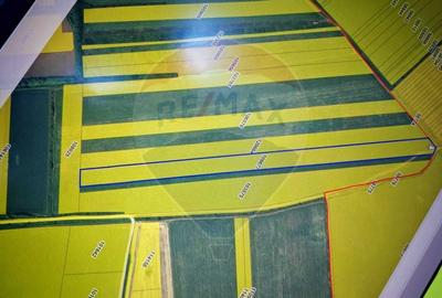 Teren agricol extravilan de 33750 mp, în Corbeanca - 4