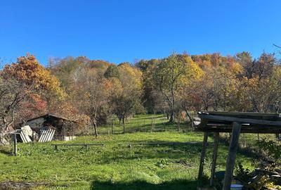 Casă cu 4 camere în Cotmeana - 3