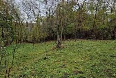 Teren de 2300 mp, în Vâlcănești - 7