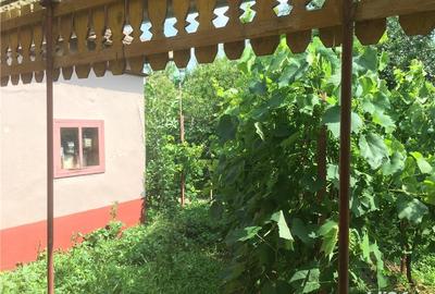 Casă cu 3 camere cu Teren 2538 Mp în Salonta - 7