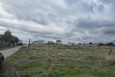 Teren de 1500 mp, în Ovidiu - 6