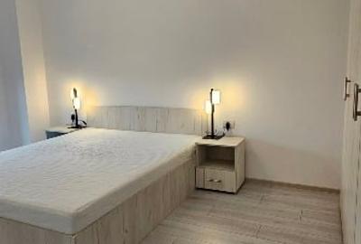Proprietar inchiriez apartament cu 2 camere decomandat Calea Aradului - 4