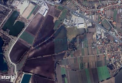 Teren de 13100 mp, în Borș - 1