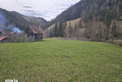 Teren de 53159 mp, în Fundu Moldovei - 4