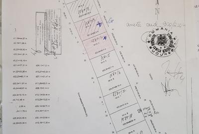 Teren intravilan 5.000 m? cu 40 m deschidere la DN2A - langa Kaufland Slobozia - 6