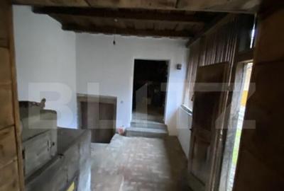 Casa cu anexe ?i 40 ari de gradina - 20
