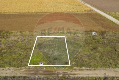 0% Comision | Teren 650 mp | Sacele, Str. Venus | Curent ... - 12