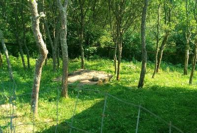 Casă cu 2 camere în Vale - 4