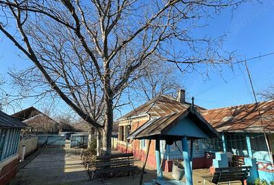 Casa de vanzare Tufesti - 6