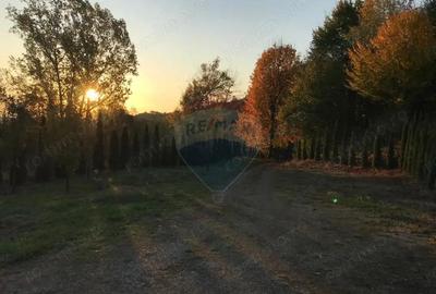 Hotel / Pensiune cu 6 camere de vanzare - 3