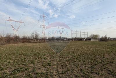 Teren agricol intravilan de 2500 mp, în Nicolae Grigorescu - 6