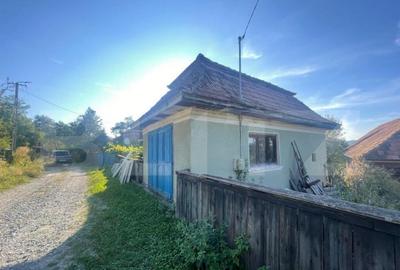 Casa de vanzare, 70 mp , teren de 3000 mp , Cacova Ierii - 5