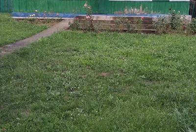 Casă cu Teren 4850 Mp în Coșula - 3